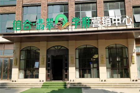 锦江城旁九悦鸿城豪华大三房送家具家电正常首付随时看房